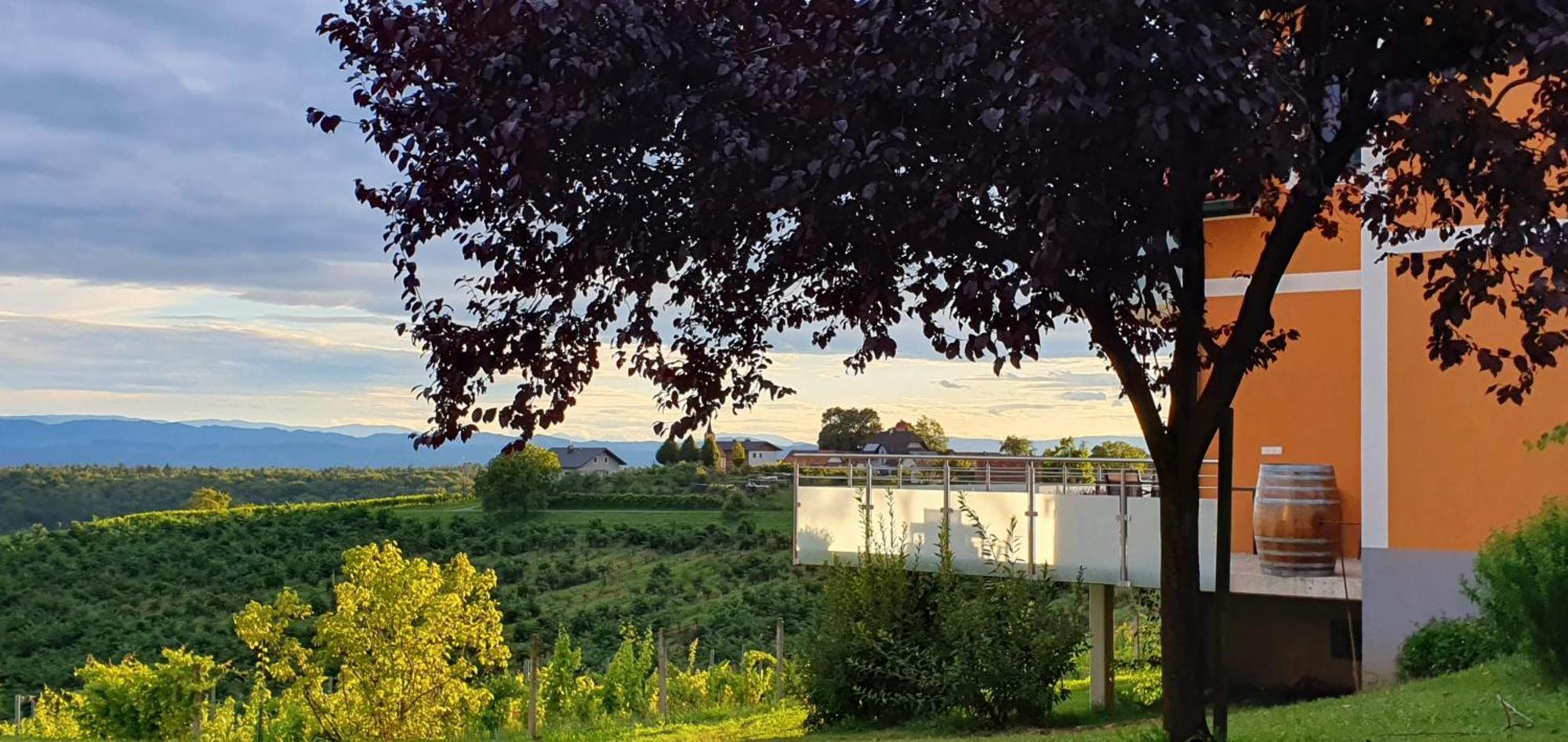 Weinhof Reichmann Bed & Breakfast Sankt Peter am Ottersbach Bagian luar foto
